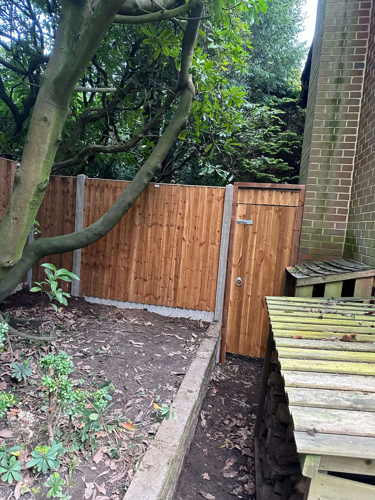 Replacement fence panels on concrete posts in a shaded back garden